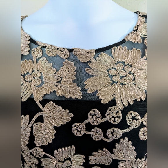 Alex Evenings/David's Bridal, Champagne-Black, Embroidered, Tulle Godets, Sz. 16 - Picture 7 of 15